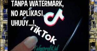 Download Video Tiktok Tanpa Watermark 2022 Tanpa Aplikasi